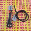 dau cam sac Datbike2